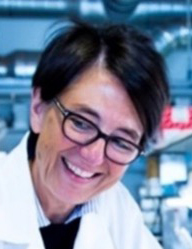 Greet van den Berghe